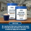 applied-nutrition-creatine-powder-scoop