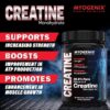 81VQuuJMB0L._AC_SX679_ Myogenix Creatine Monohydrate – 400g/0.88 lbs ( Made In Germany)