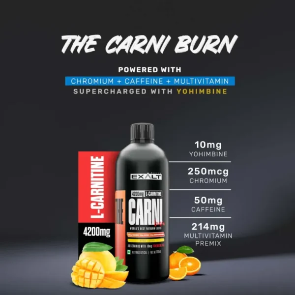 "Exalt The Carni Burn vs Other L-Carnitine Supplements – Higher potency, better absorption, and premium quality for fat loss and endurance."