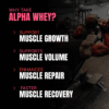 Prosupps Alpha whey Protein 2 Kg/4.40 lbs